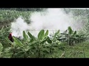 youtube - [Video]