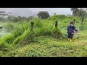 youtube - [Video]