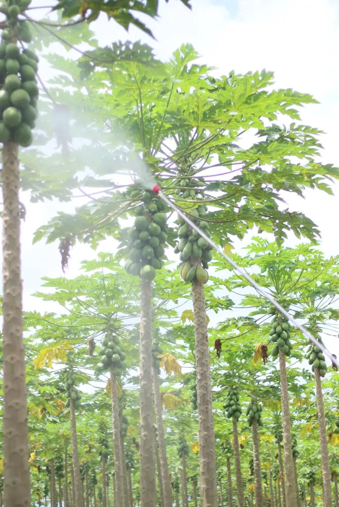 2C1A7252 ms0835w 3.webp
