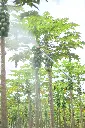 2C1A7252 ms0835w 3.webp