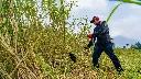 B420H GUATEMALA (7).webp