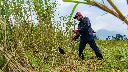 B420H GUATEMALA (6).webp