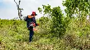 B50R GUATEMALA (4).webp