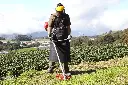 DESMALEZADORA MARUYAMA B43R