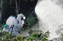 MS076D Action.webp