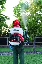 Corrie MM92 in orchard 2.webp